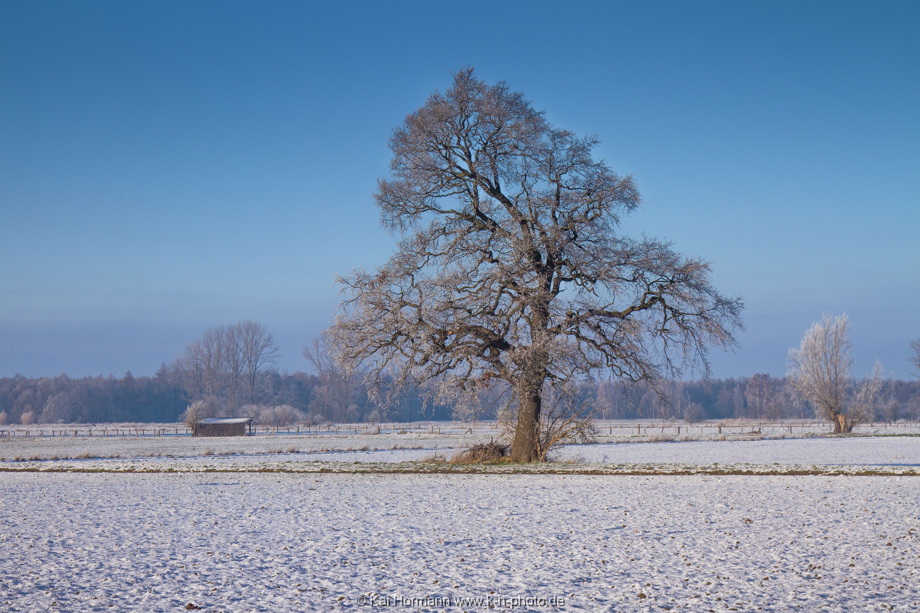 winter-2016--34 Diverse Natur und Landschaftsfotos.