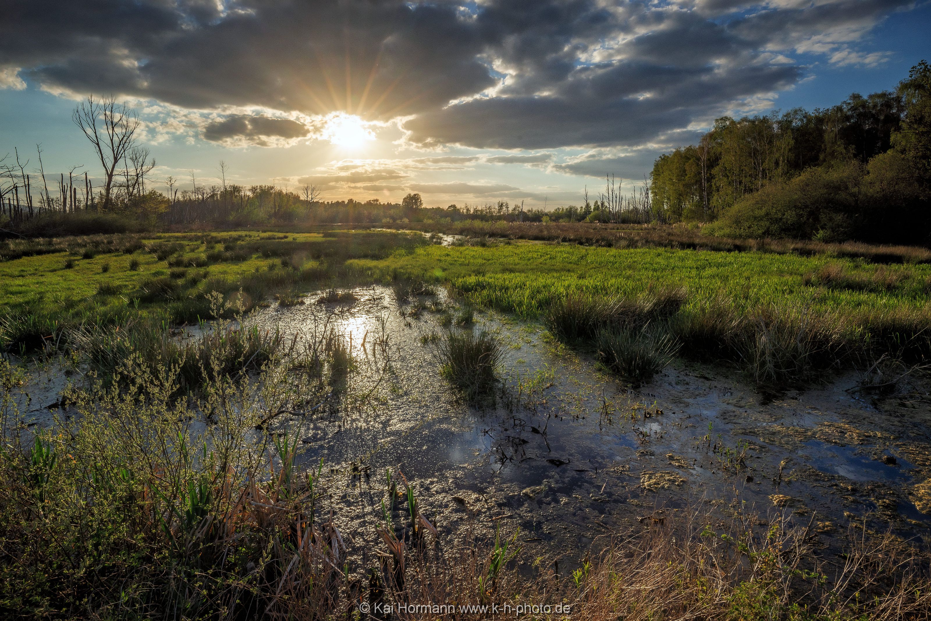 Großes Torfmoor Das Große Torfmoor.