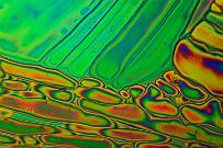 Natriumhydrogensulfat Mikrokristalle im polarisierten Licht.